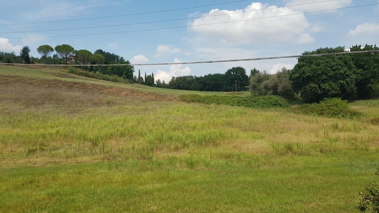 Val D'orcia Deluxe 2, Raffinata Casa Immersa Nel Con Wifi, Giardino E Parcheggio Montalcino